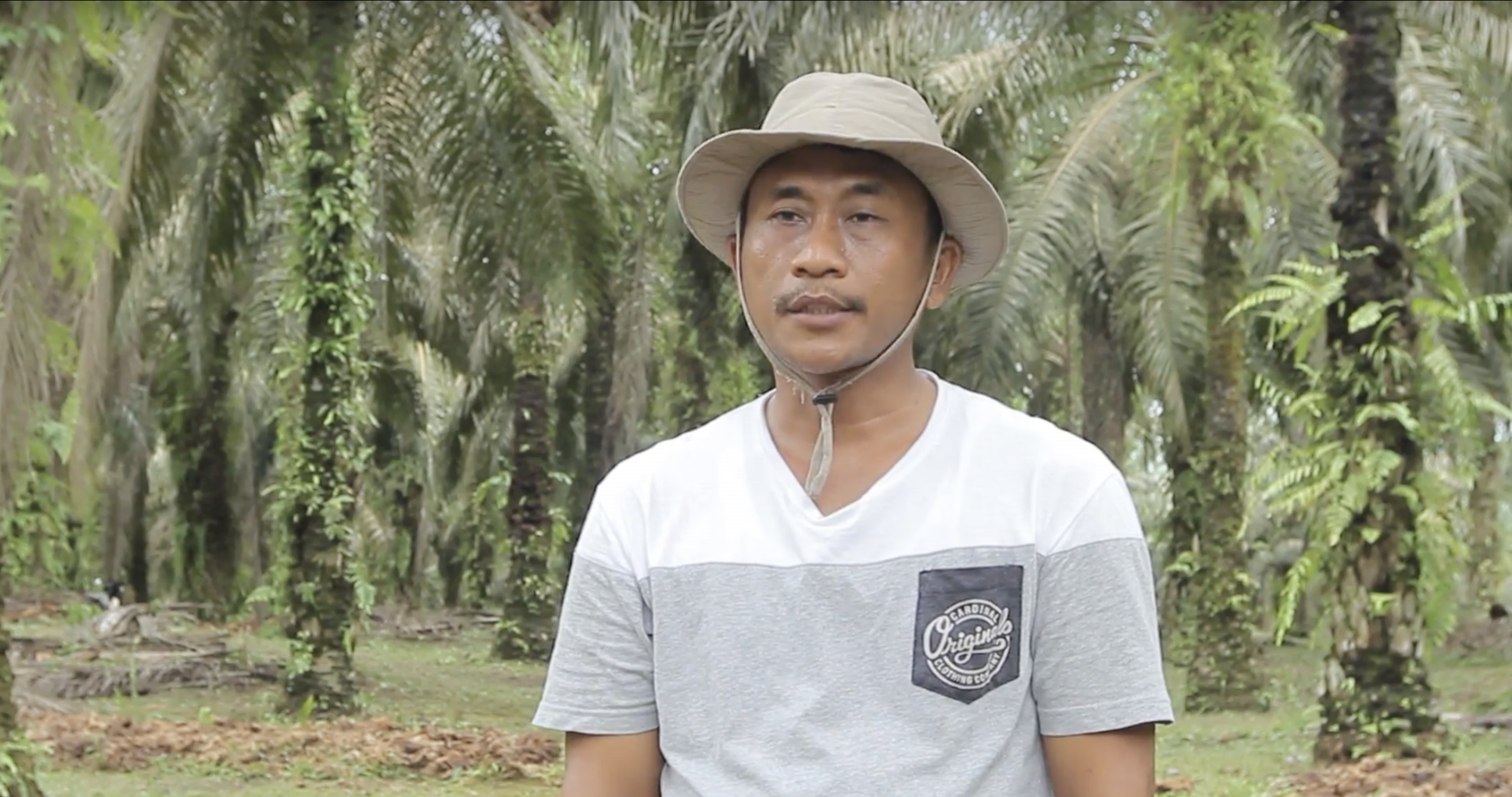 When an oil palm farmer finds a better way