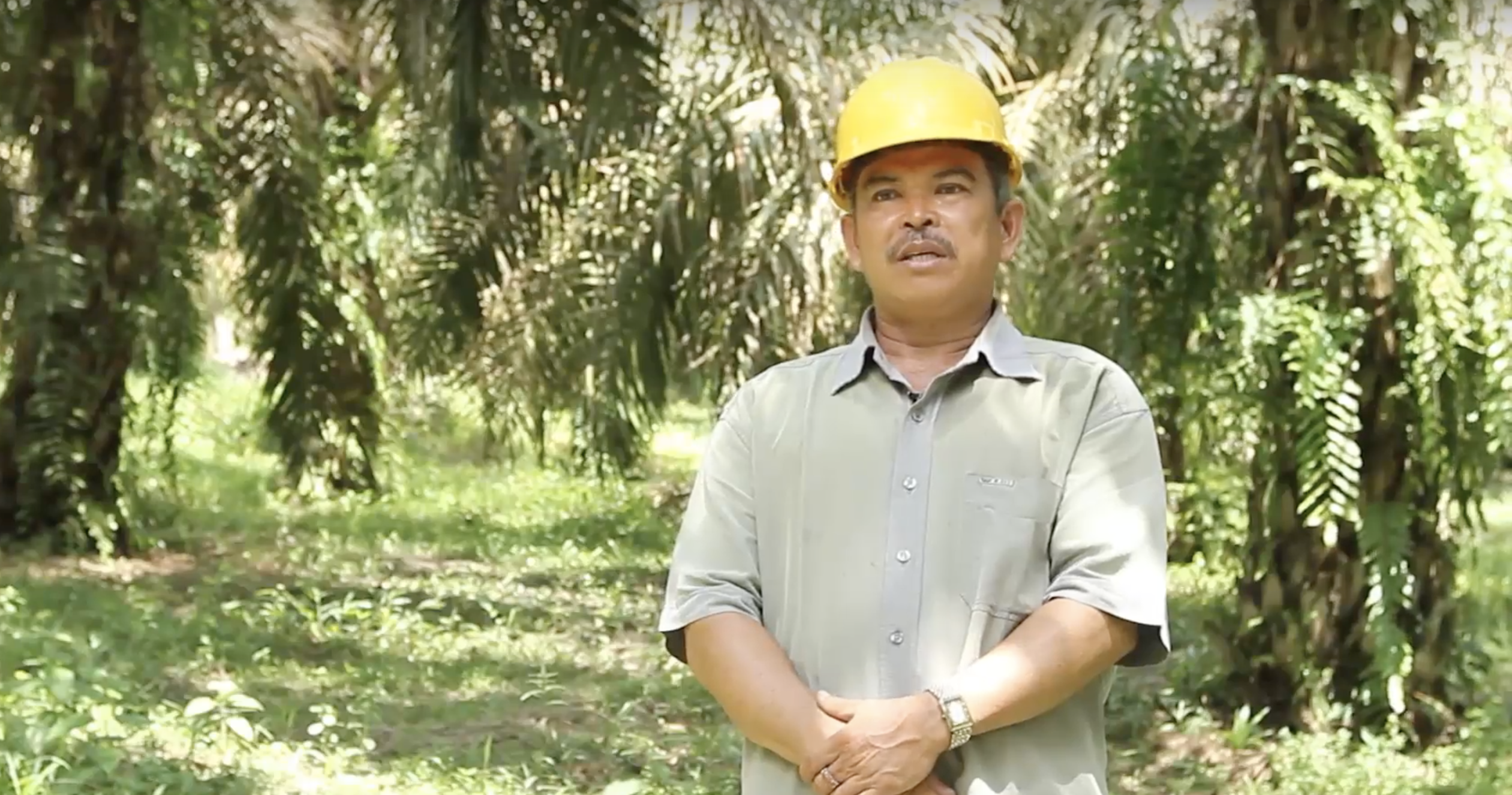 An oil palm farmer’s positive impact on the environment